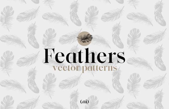 Feathers Vector Patterns